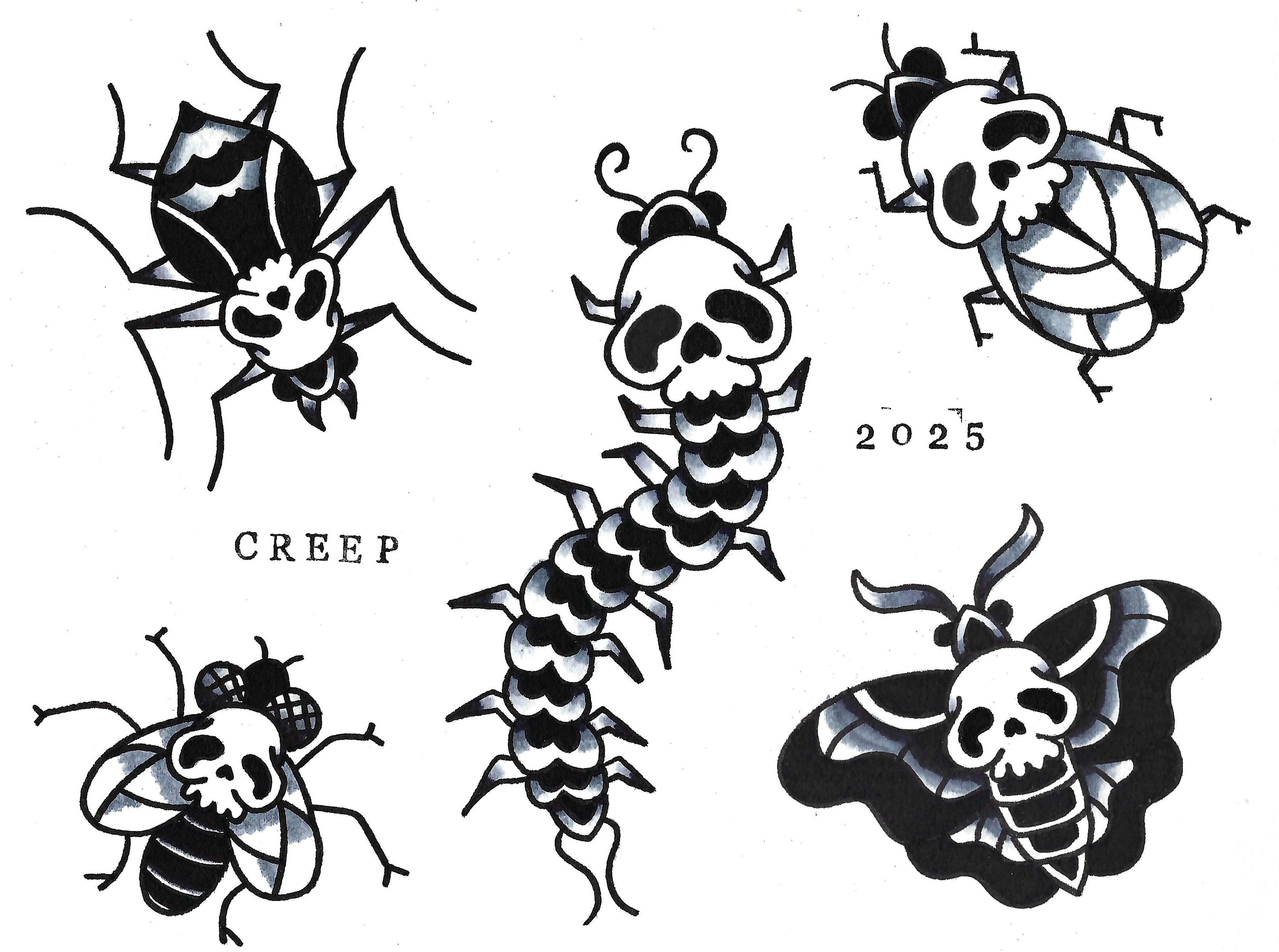 SKULL BUG FLASH SHEETS