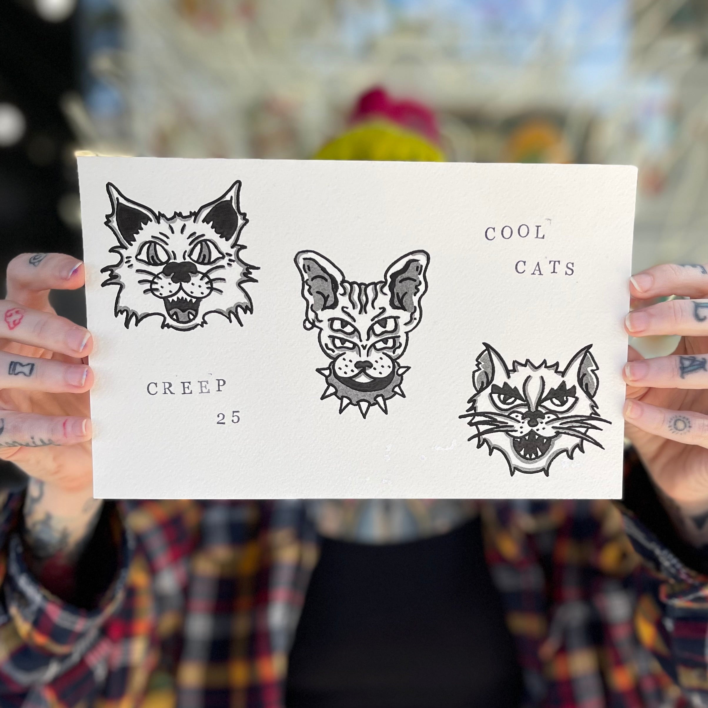 COOL CAT FLASH SHEETS